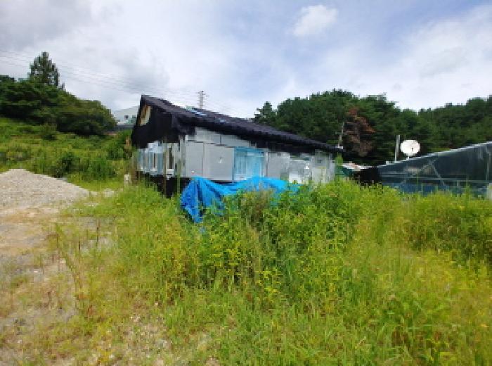충청남도 금산군 금산읍 양지리 246-1 외 1필지 답 경매 사진 35