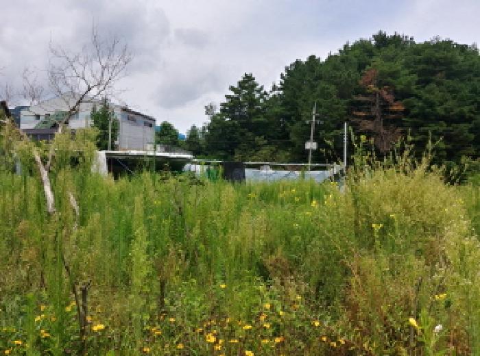 충청남도 금산군 금산읍 양지리 246-1 외 1필지 답 경매 사진 37