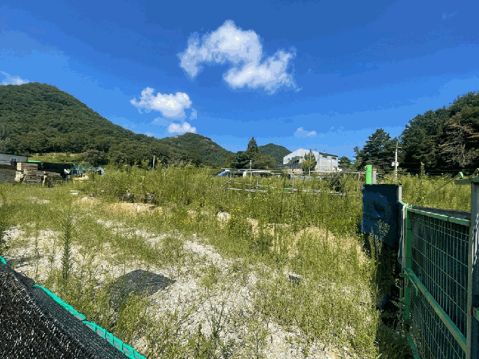 충청남도 금산군 금산읍 양지리 246-1 외 1필지 답 경매 사진 45