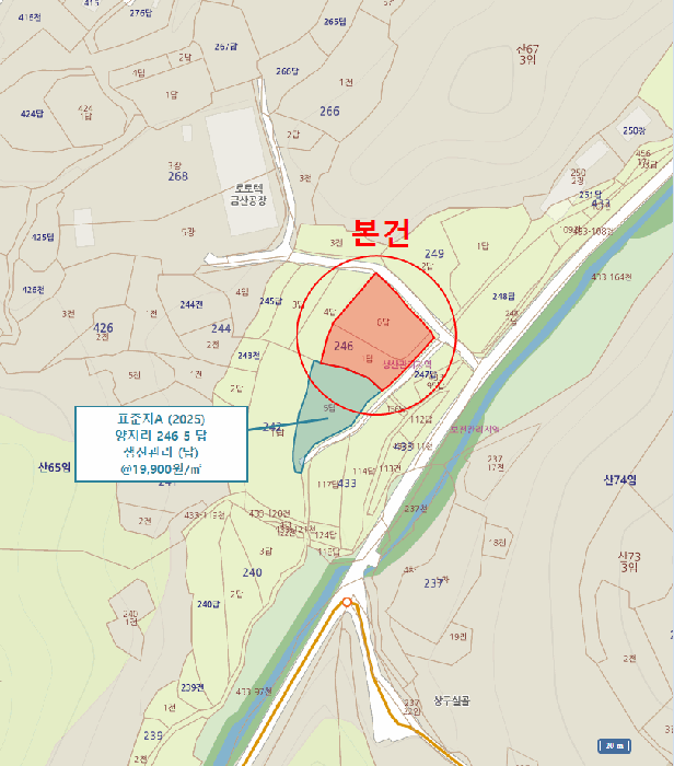 충청남도 금산군 금산읍 양지리 246-1 외 1필지 답 경매 사진 48
