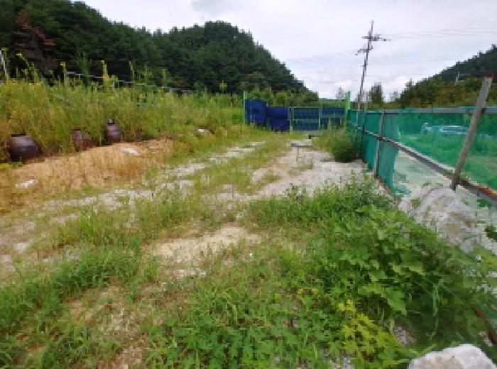 충청남도 금산군 금산읍 양지리 246-1 외 1필지 답 경매 사진 9