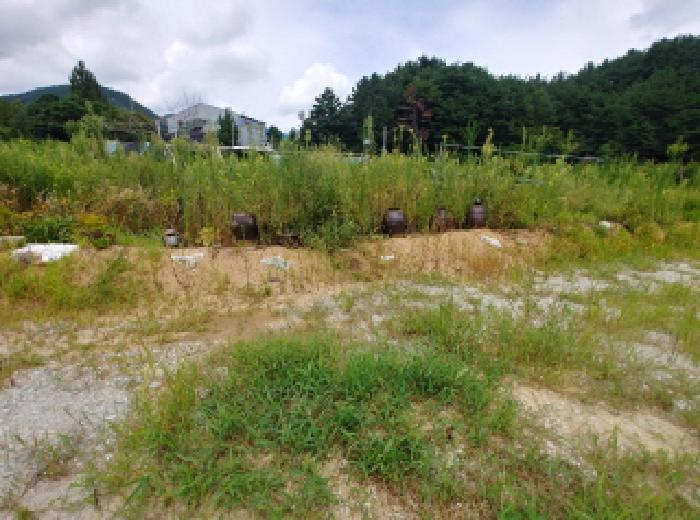 충청남도 금산군 금산읍 양지리 246-1 외 1필지 답 경매 사진 10