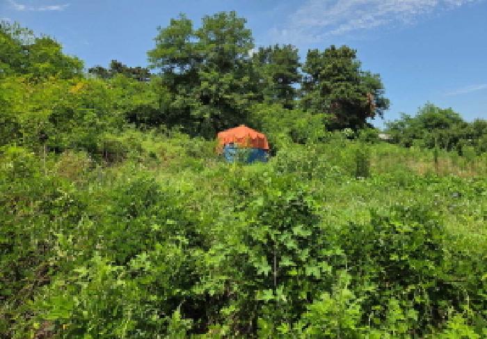 충청남도 천안시 서북구 성환읍 율금리 500 과수원 경매 사진 21