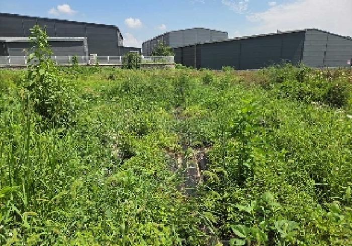 충청남도 천안시 서북구 성환읍 율금리 500 과수원 경매 사진 23
