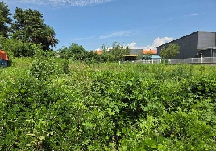 충청남도 천안시 서북구 성환읍 율금리 500 과수원 경매 사진 24