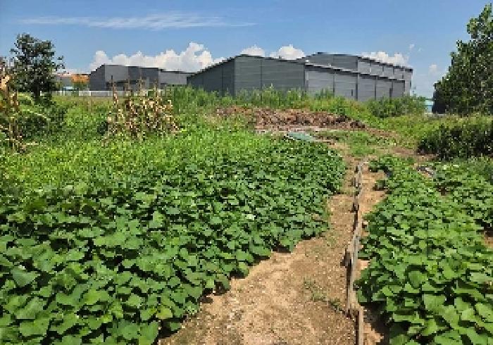 충청남도 천안시 서북구 성환읍 율금리 500 과수원 경매 사진 26