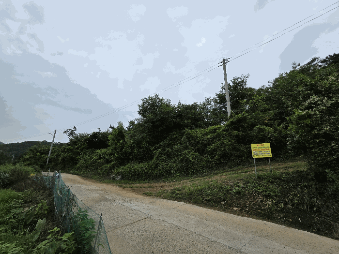 경상북도 청도군 금천면 갈지리 산59 임야 경매 사진 18