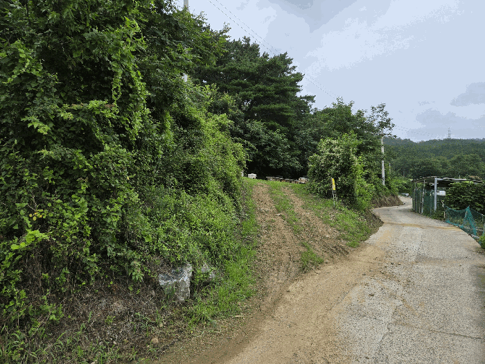 경상북도 청도군 금천면 갈지리 산59 임야 경매 사진 22
