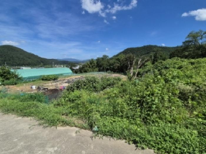 경상북도 경주시 율동 954-20 외 8필지 과수원 경매 사진 12