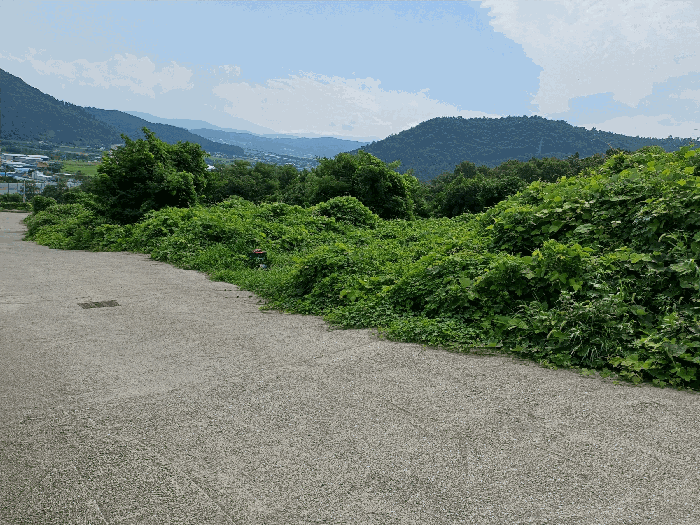 경상북도 경주시 율동 954-20 외 8필지 과수원 경매 사진 15