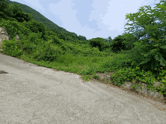 경상북도 경주시 율동 954-20 외 8필지 과수원 경매 사진 17