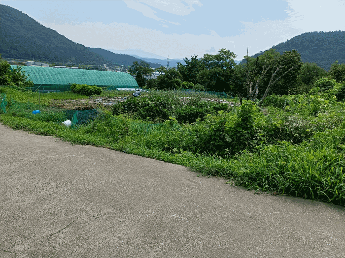 경상북도 경주시 율동 954-20 외 8필지 과수원 경매 사진 19
