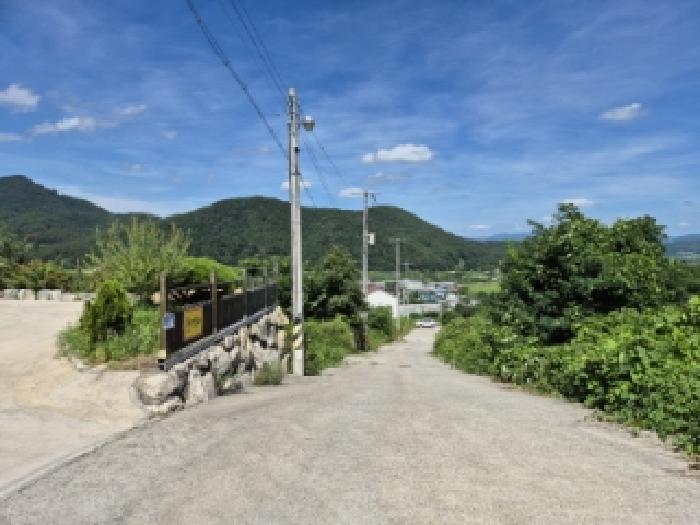경상북도 경주시 율동 954-20 외 8필지 과수원 경매 사진 5