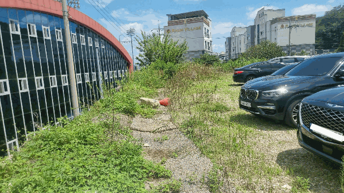 경상북도 구미시 남통동 137 외 1필지 답 경매 사진 11