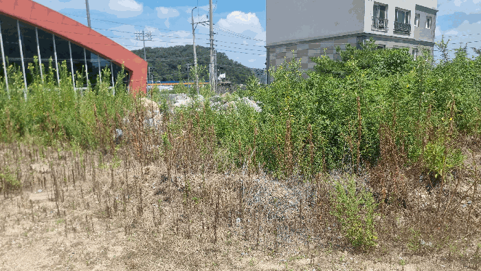 경상북도 구미시 남통동 137 외 1필지 답 경매 사진 7
