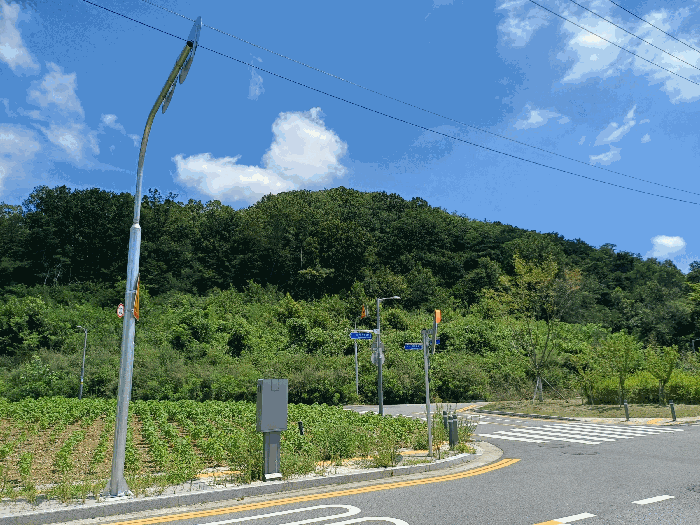 경상북도 구미시 거의동 산88-2 임야 경매 사진 15