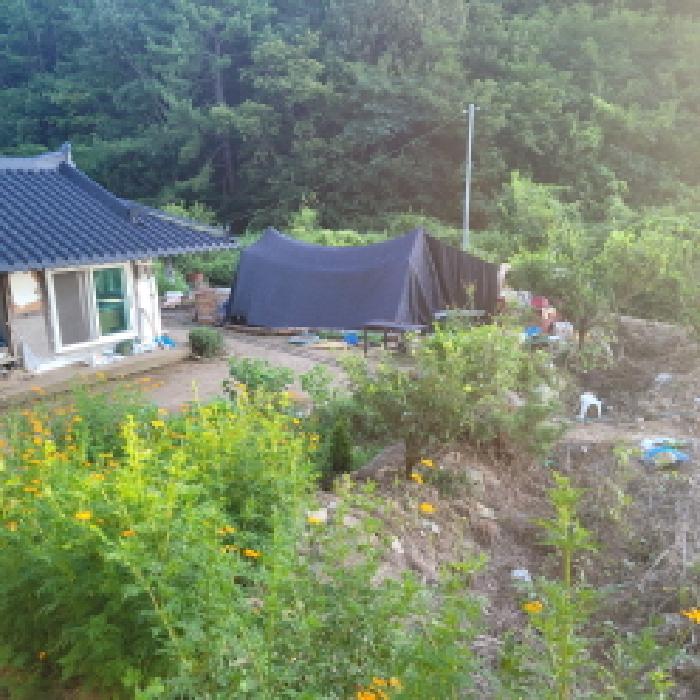 전라남도 여수시 돌산읍 금봉리 1238 단독주택 경매 사진 3