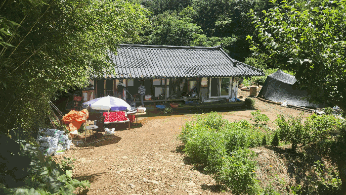 전라남도 여수시 돌산읍 금봉리 1238 단독주택 경매 사진 8