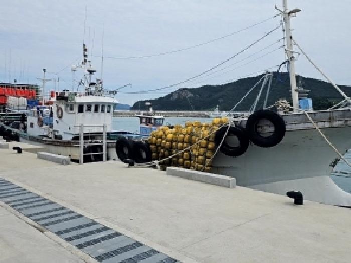 전라남도 진도군 임회면 남동리 서망항 선박 경매 사진 1