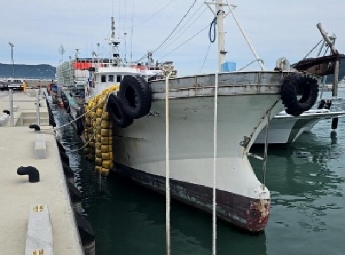 전라남도 진도군 임회면 남동리 서망항 선박 경매 사진 2