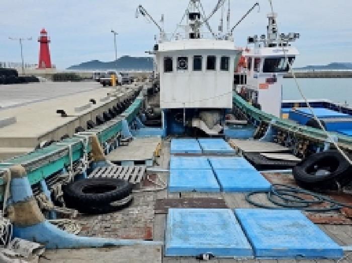 전라남도 진도군 임회면 남동리 서망항 선박 경매 사진 6