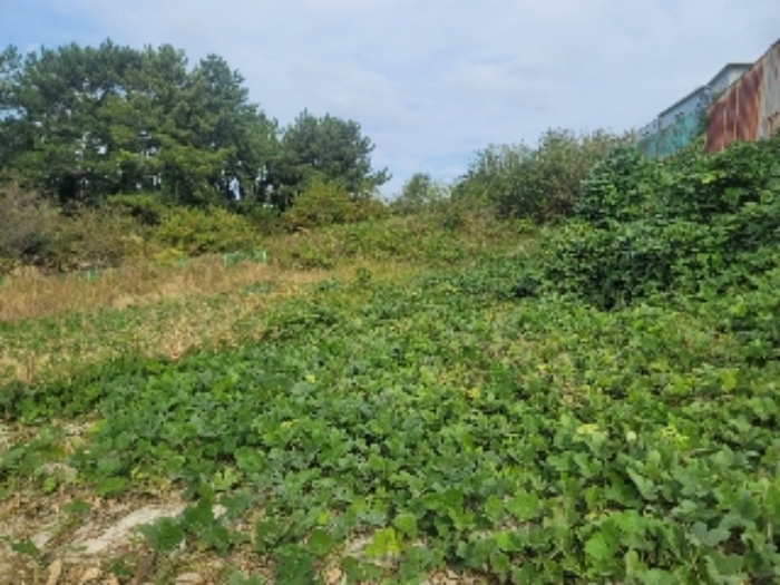 경상남도 통영시 용남면 장평리 651-1 외 3필지 근린생활시설 경매 사진 11