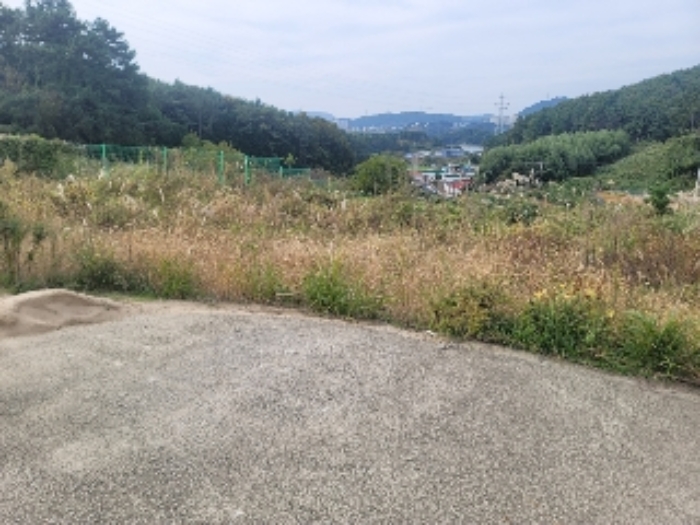 경상남도 통영시 용남면 장평리 651-1 외 3필지 근린생활시설 경매 사진 14