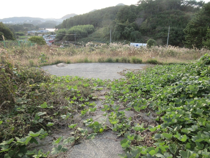 경상남도 통영시 용남면 장평리 651-1 외 3필지 근린생활시설 경매 사진 16