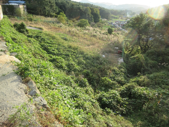 경상남도 통영시 용남면 장평리 651-1 외 3필지 근린생활시설 경매 사진 31