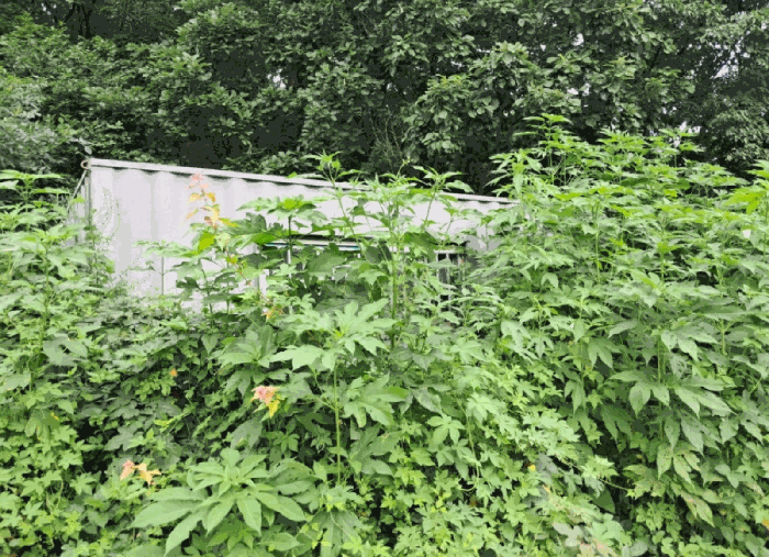 경기도 연천군 전곡읍 늘목리 496-2 외 7필지 임야 경매 사진 34