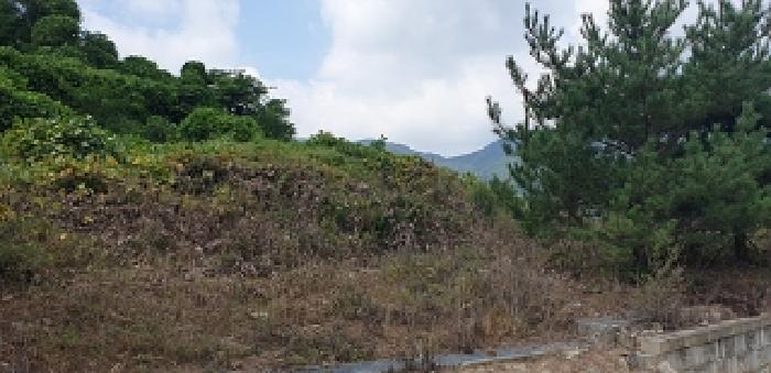 충청남도 예산군 덕산면 대치리 85-6 외 5필지 임야 경매 사진 1