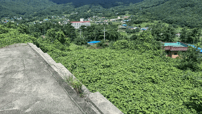 충청남도 예산군 덕산면 대치리 85-6 외 5필지 임야 경매 사진 11