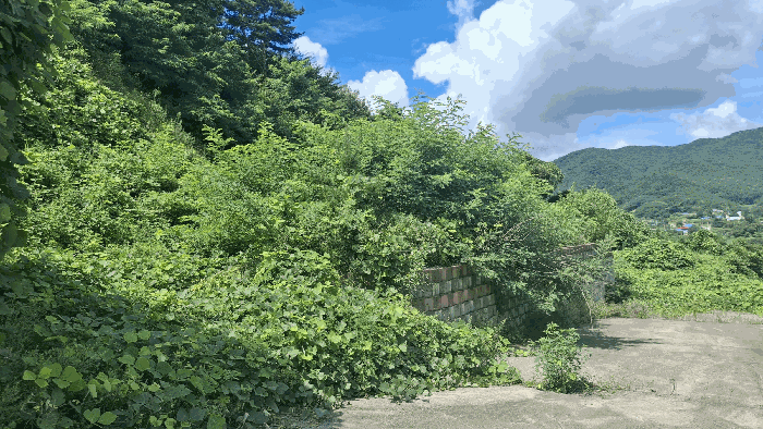 충청남도 예산군 덕산면 대치리 85-6 외 5필지 임야 경매 사진 14