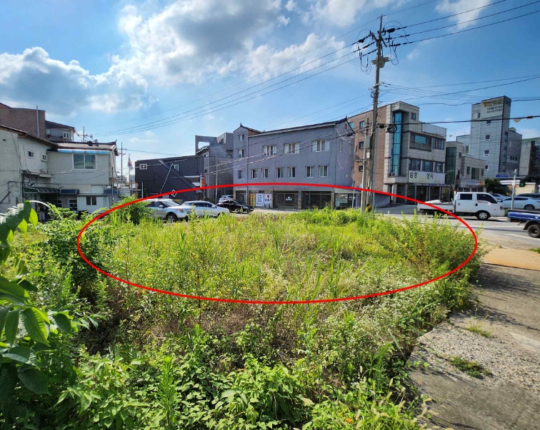 충청남도 천안시 서북구 성환읍 성환리 269-1 외 2필지 대지 경매 사진 3