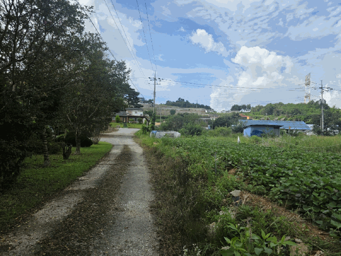 충청남도 당진시 석문면 교로리 794-1 외 4필지 답 경매 사진 12