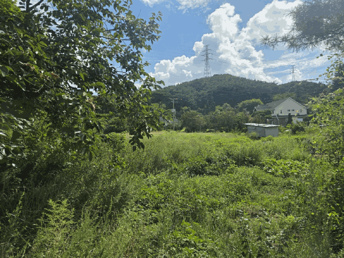 충청남도 당진시 석문면 교로리 794-1 외 4필지 답 경매 사진 13