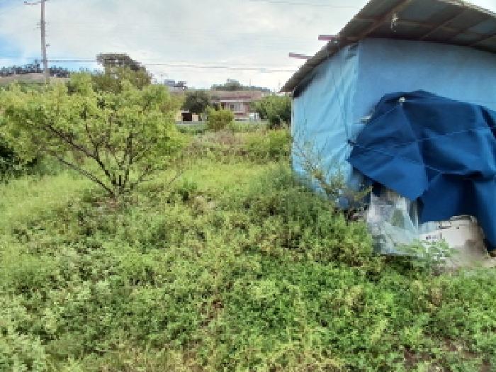 충청남도 당진시 석문면 교로리 794-1 외 4필지 답 경매 사진 5