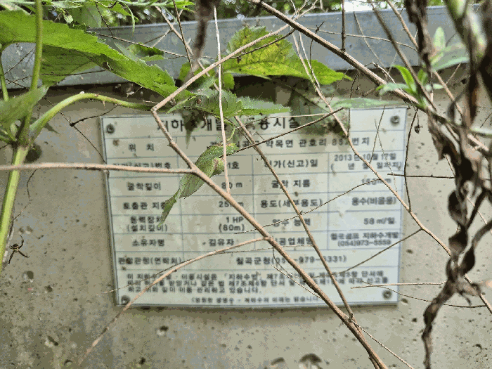 경상북도 칠곡군 약목면 관호리 853-7 외 6필지 도로 경매 사진 13