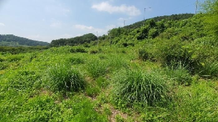 경상남도 창원시 마산합포구 구산면 반동리 27-1 외 6필지 근린생활시설 경매 사진 2
