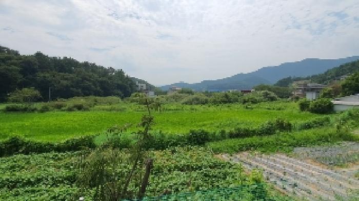 경상남도 창원시 마산합포구 구산면 석곡리 693 답 경매 사진 11