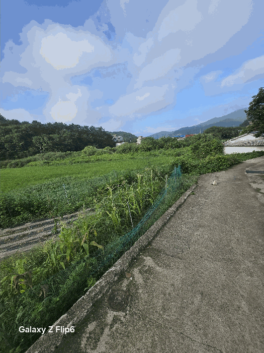 경상남도 창원시 마산합포구 구산면 석곡리 693 답 경매 사진 13