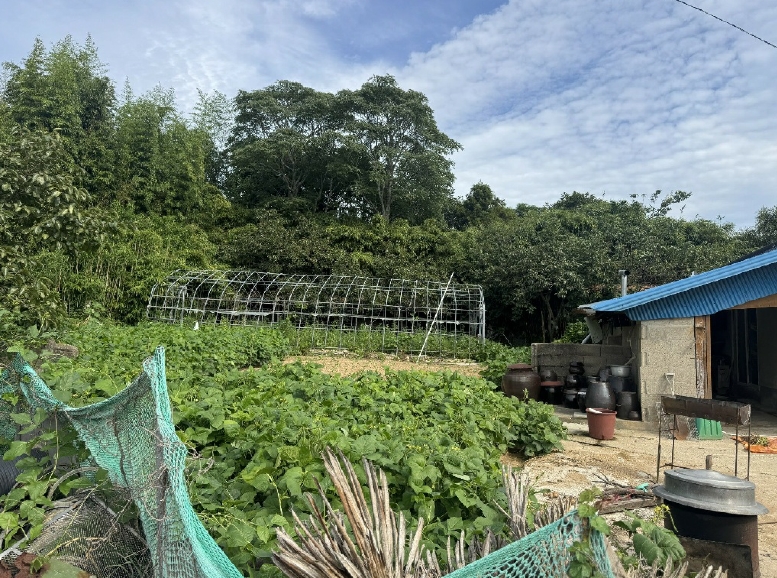 전라남도 영암군 삼호읍 망산리 751 대지 경매 사진 17