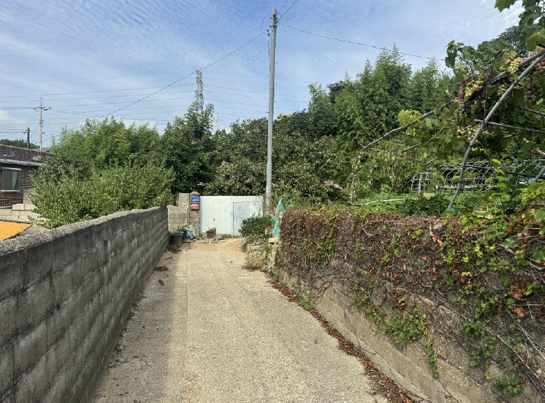 전라남도 영암군 삼호읍 망산리 751 대지 경매 사진 19