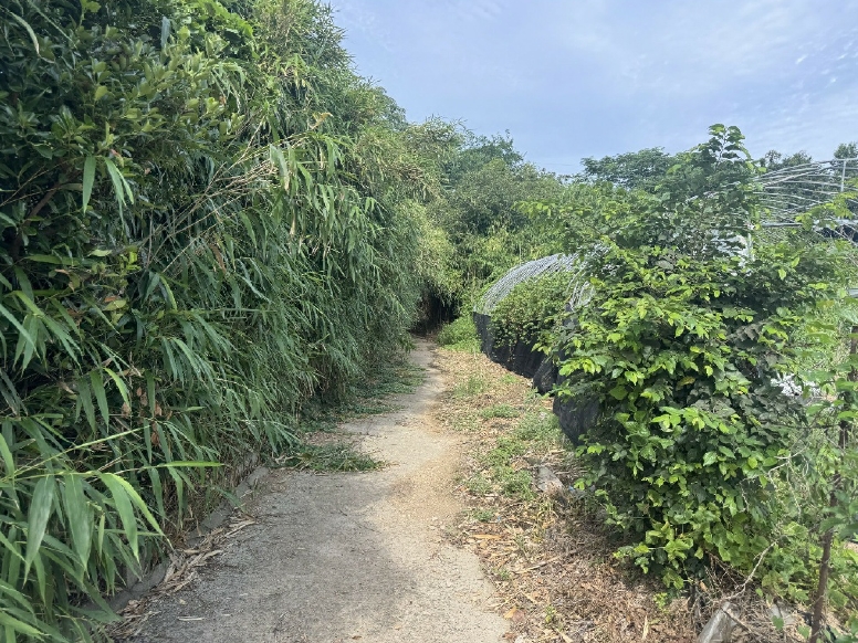 전라남도 영암군 삼호읍 망산리 751 대지 경매 사진 20