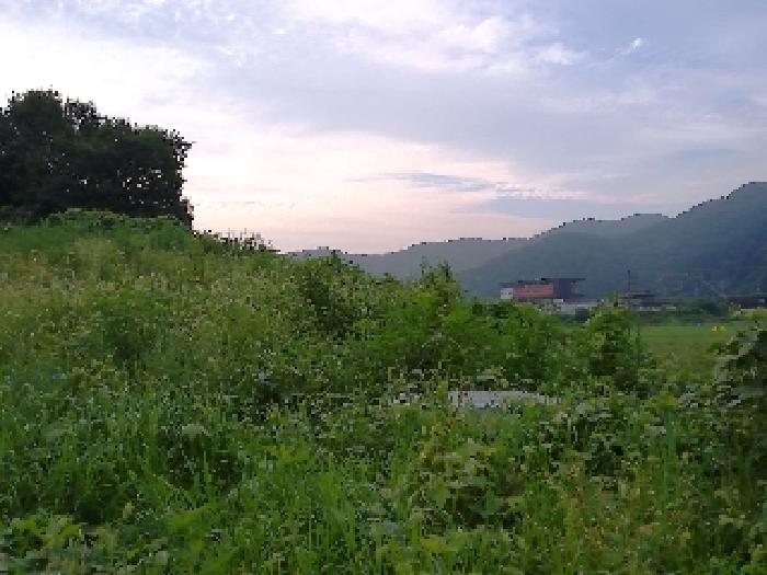전북특별자치도 완주군 소양면 죽절리 605-1 외 18필지 임야 경매 사진 3