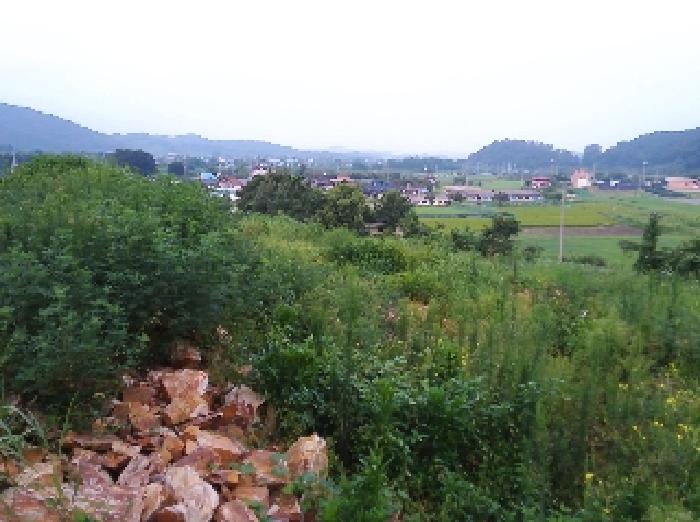전북특별자치도 완주군 소양면 죽절리 605-1 외 18필지 임야 경매 사진 25