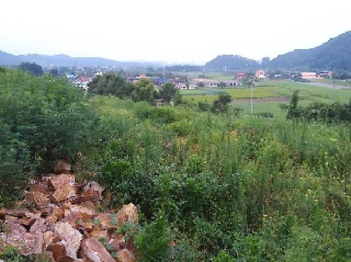 전북특별자치도 완주군 소양면 죽절리 605-1 외 18필지 임야 경매 사진 26