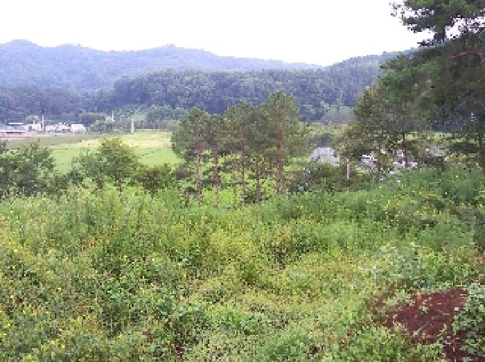 전북특별자치도 완주군 소양면 죽절리 605-1 외 18필지 임야 경매 사진 27