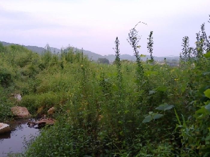전북특별자치도 완주군 소양면 죽절리 605-1 외 18필지 임야 경매 사진 29