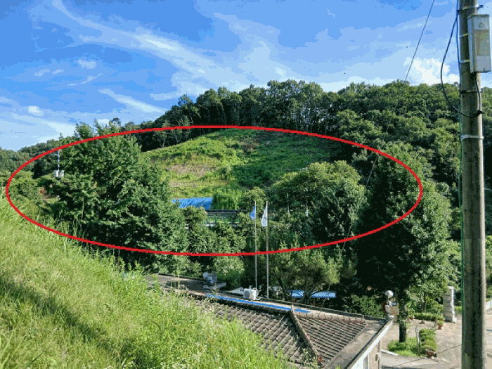 경기도 연천군 청산면 장탄리 918-2 전 경매 사진 19